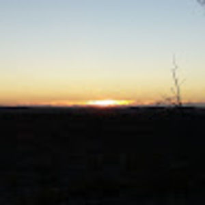 Meet your Posher, Dee